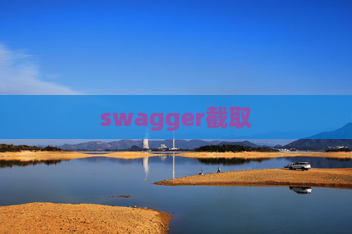 swagger截取